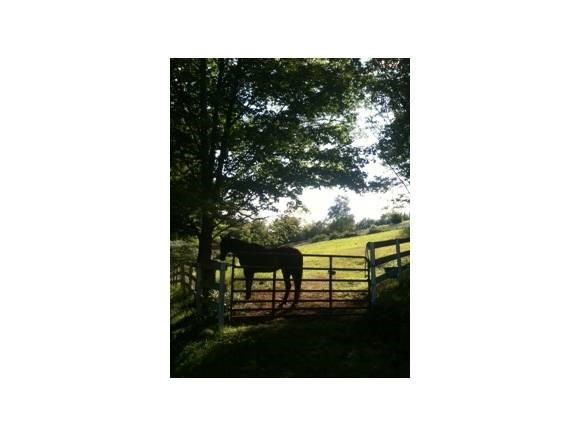607 Banister Road West Windsor, VT 05089 - Photo 2 of 17