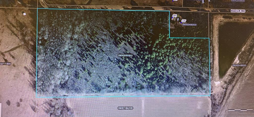 0 Bacle Road Mangham, LA 71259 - Photo 1 of 1 Main View