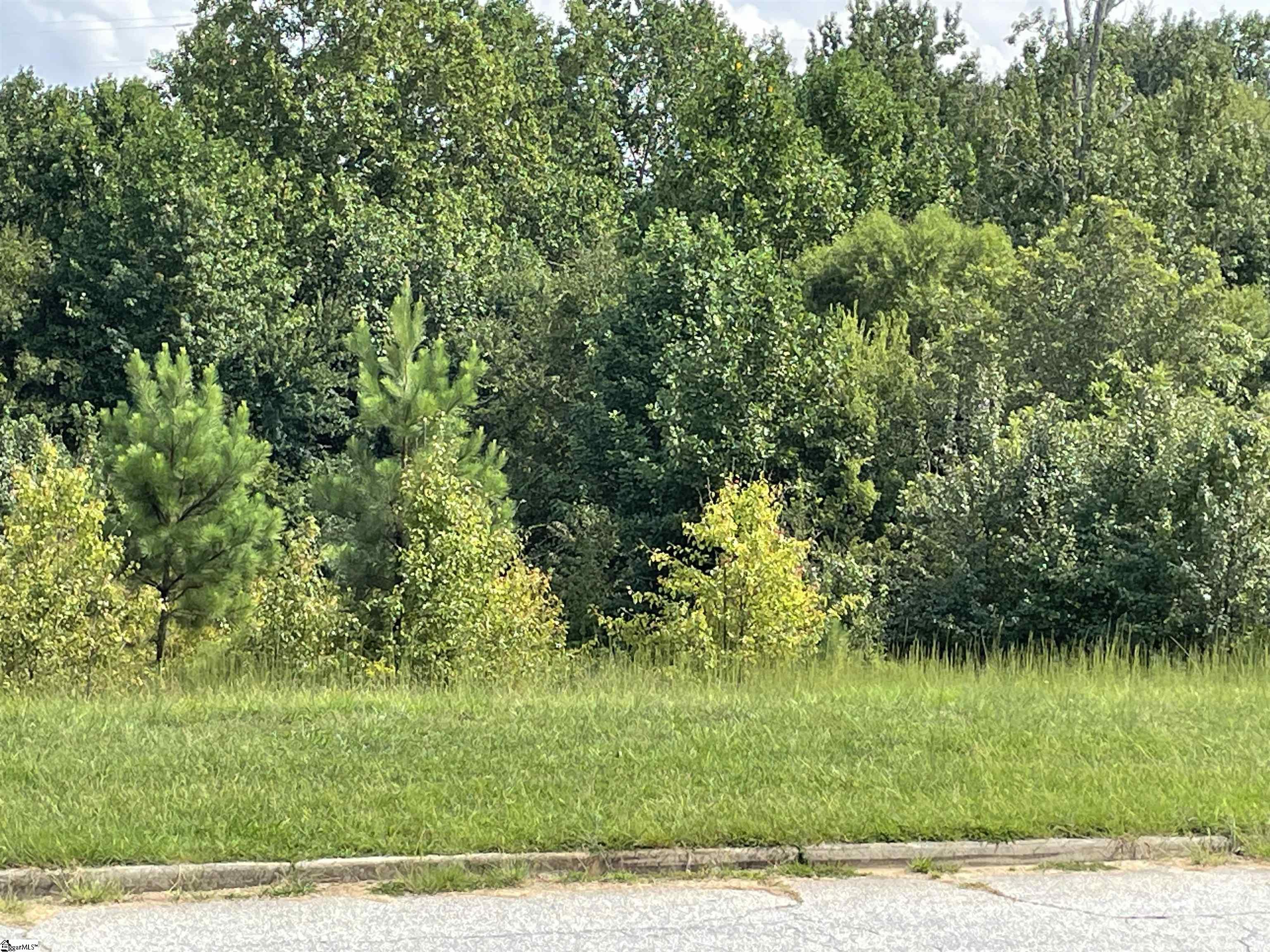 1 Park Plaza Mauldin, SC 29607 - Photo 2 of 2