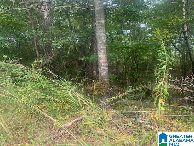 0 Jones Road Alpine, AL 35014 - Photo 2 of 7