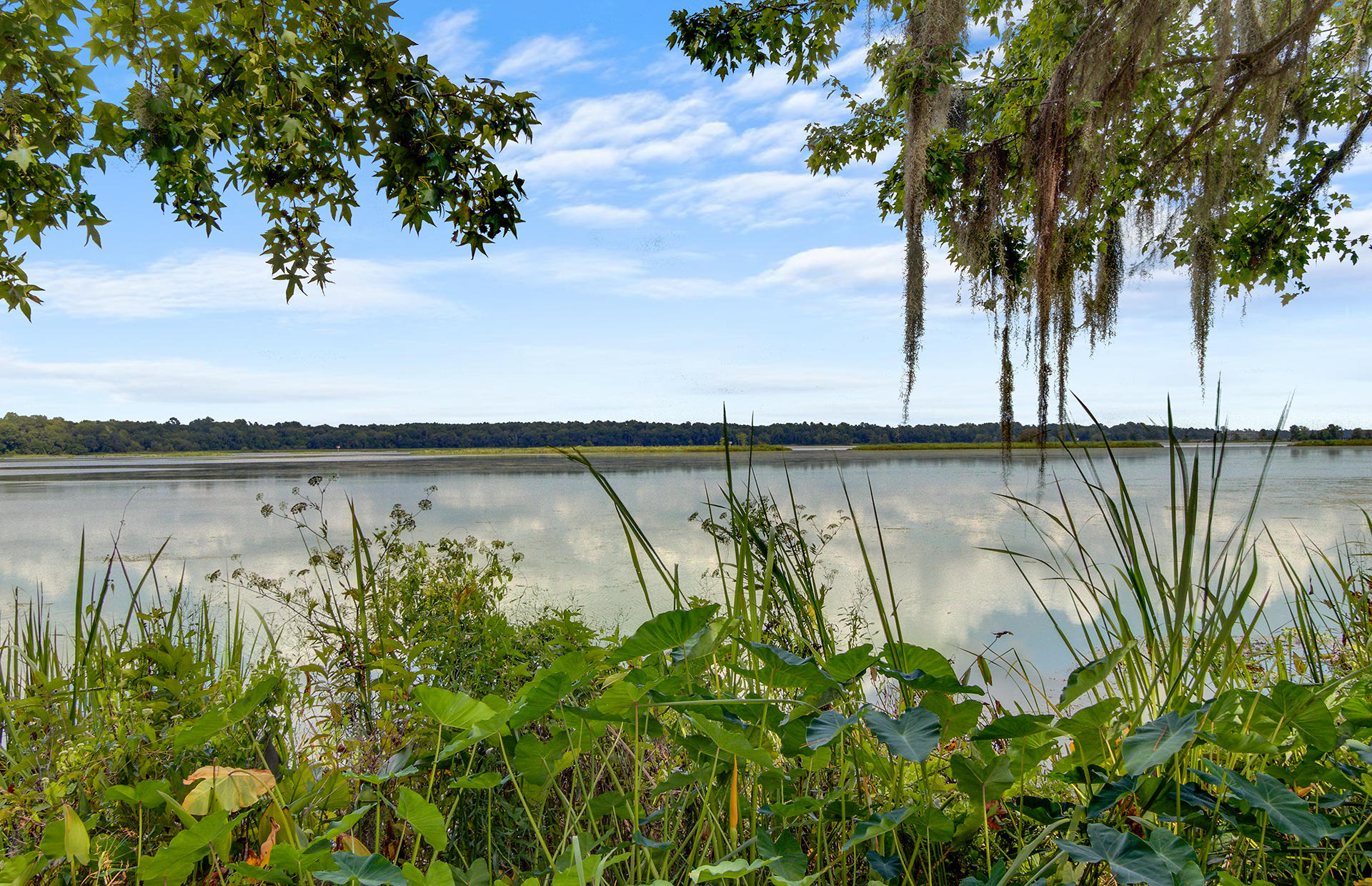 1828 State Rd S-8-560 Moncks Corner, SC 29461 - Photo 3 of 53 40