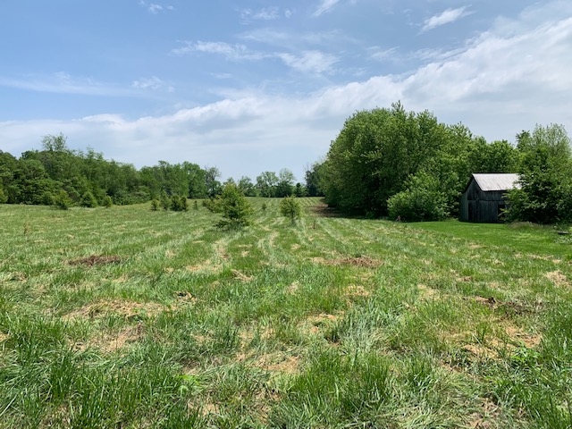 Tbd South Meridian Road Mitchell, IN 47446 - Photo 1 of 4