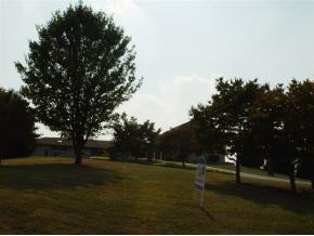 283 Keefauver Road Gray, TN 37615 - Photo 8 of 9 Photo 8