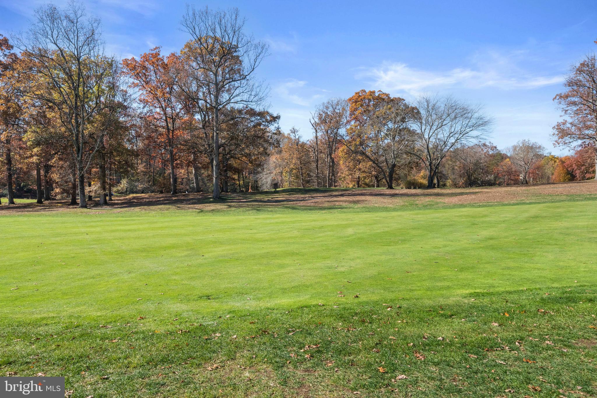 2152 Glencourse Lane Reston, VA 20191 - Photo 39 of 52 a view of a field with trees in the background