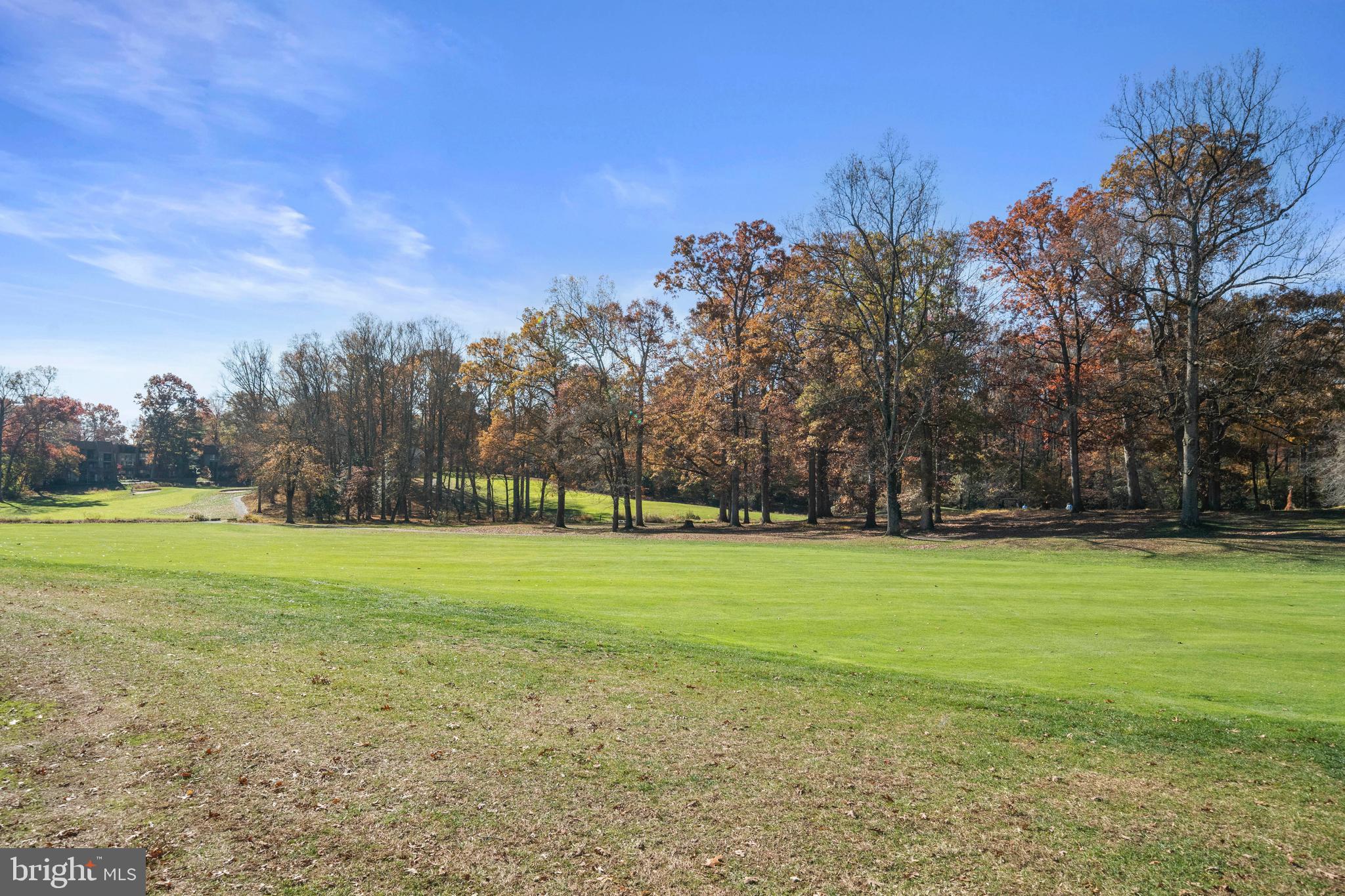 2152 Glencourse Lane Reston, VA 20191 - Photo 40 of 52 a view of a field with a trees in the background