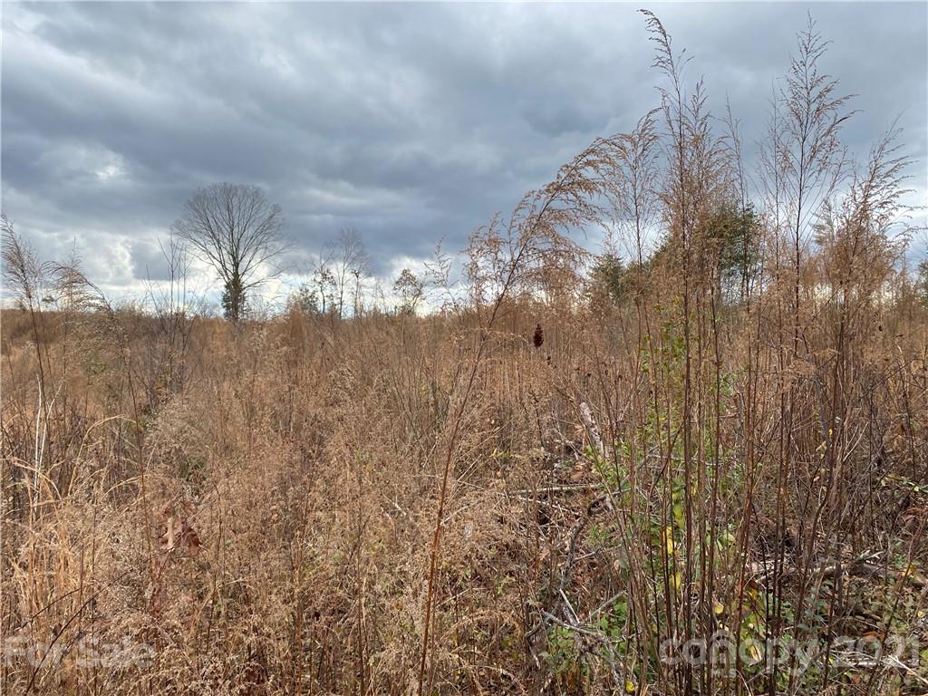 0 Icard Ridge Road Hickory, NC 28601 - Photo 1 of 11 Gallery Image 1