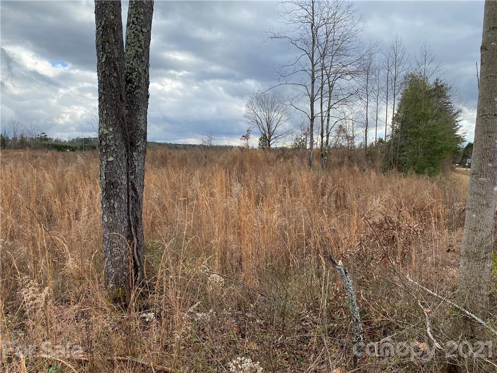 0 Icard Ridge Road Hickory, NC 28601 - Photo 5 of 11 Gallery Image 5