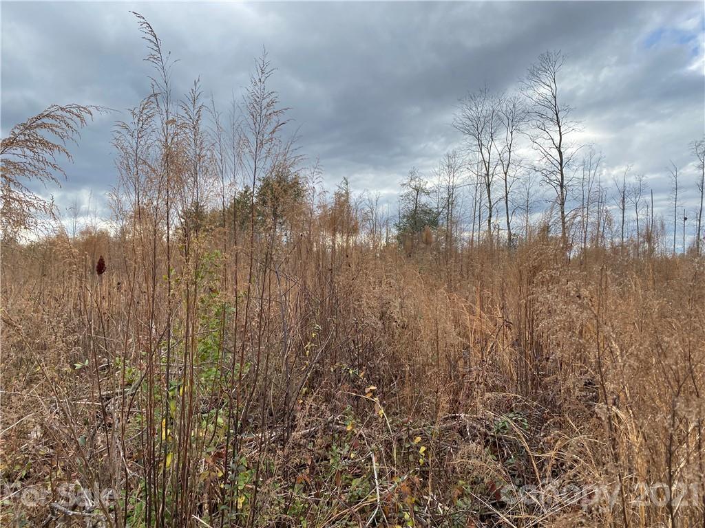 0 Icard Ridge Road Hickory, NC 28601 - Photo 6 of 11 Gallery Image 6