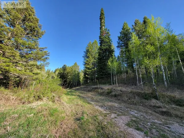 $167,000 | L39-b4 Cutthroat Run, Irwin, ID 83428