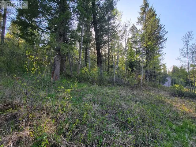 $167,000 | L39-b4 Cutthroat Run, Irwin, ID 83428