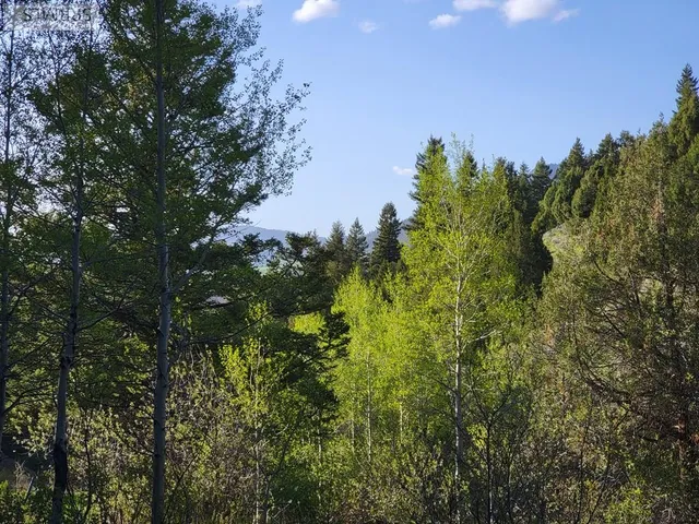 $167,000 | L39-b4 Cutthroat Run, Irwin, ID 83428