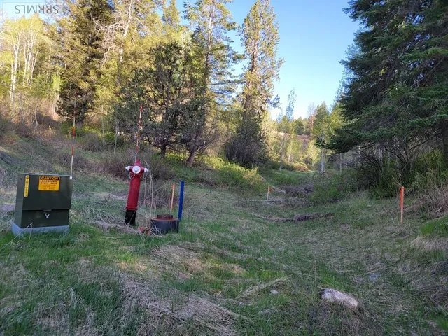 $167,000 | L39-b4 Cutthroat Run, Irwin, ID 83428