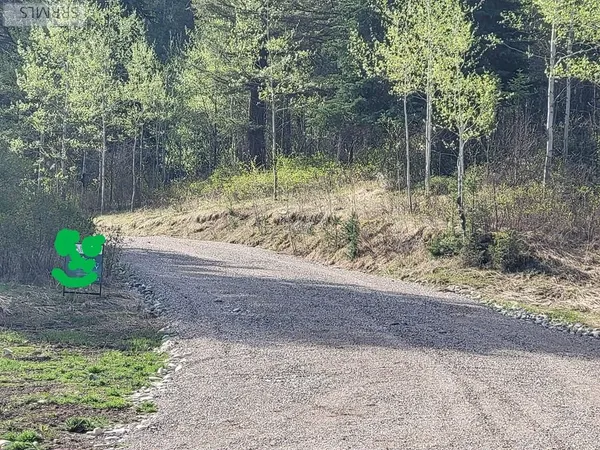 $167,000 | L39-b4 Cutthroat Run, Irwin, ID 83428