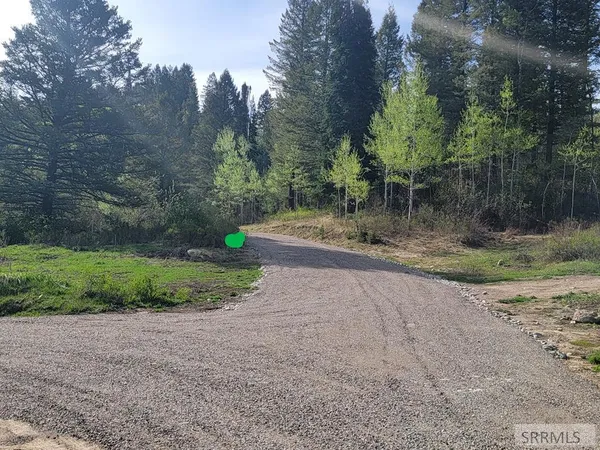 $167,000 | L39-b4 Cutthroat Run, Irwin, ID 83428