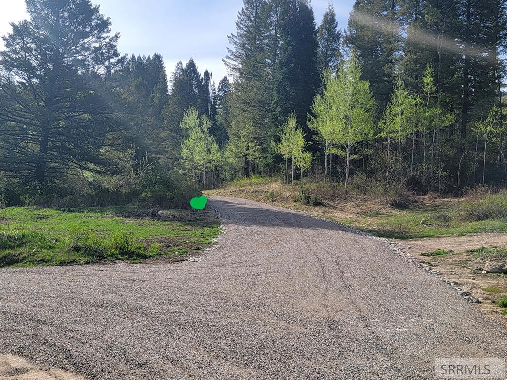 L39-b4 Cutthroat Run Irwin, ID 83428 - Photo 2 of 15 New Cabin Road installed 2025