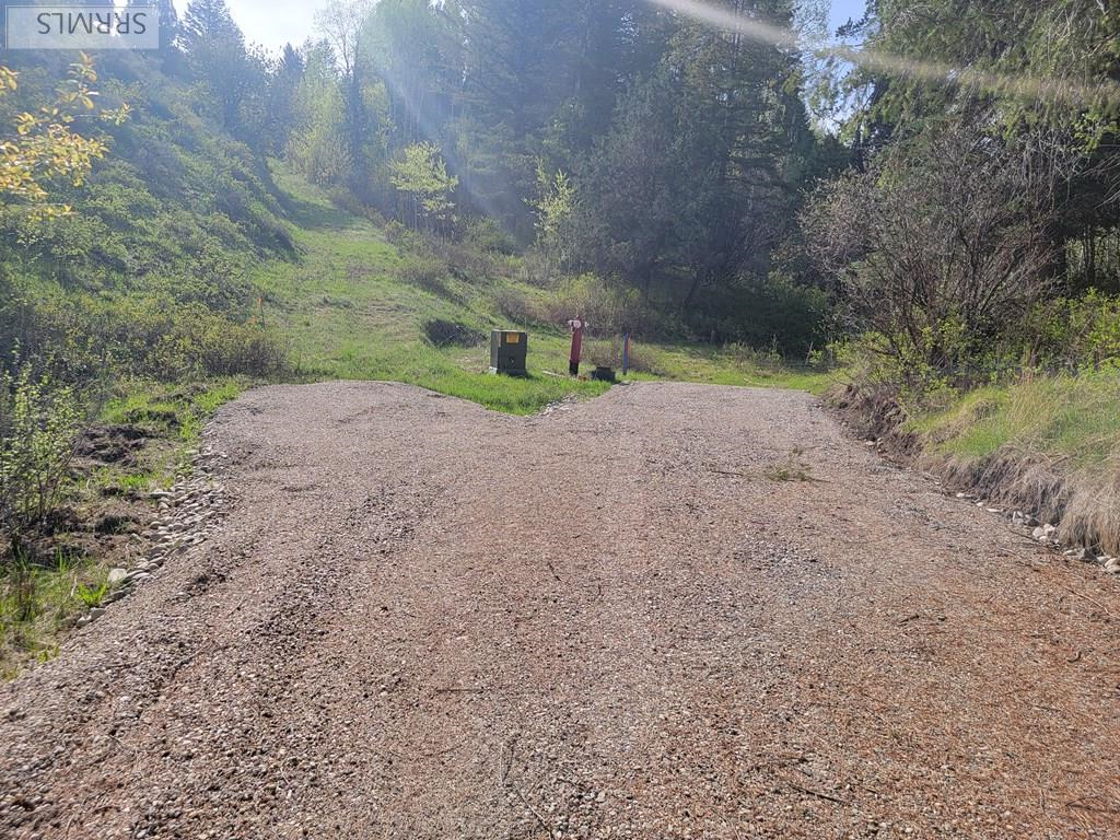 L39-b4 Cutthroat Run Irwin, ID 83428 - Photo 4 of 15 New Cabin Road installed 2025