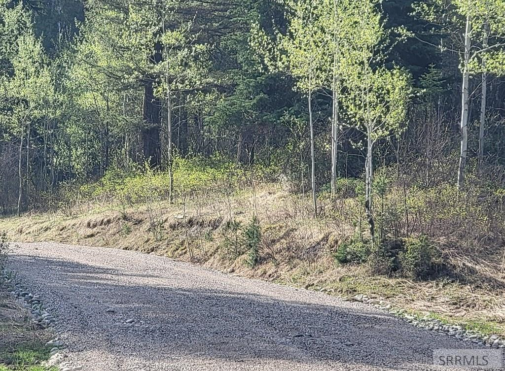 L39-b4 Cutthroat Run Irwin, ID 83428 - Photo 5 of 15 New Cabin Road installed 2025
