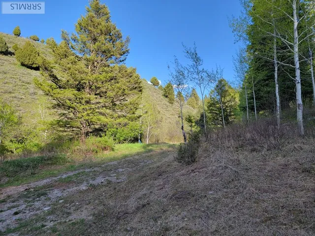 $167,000 | L39-b4 Cutthroat Run, Irwin, ID 83428