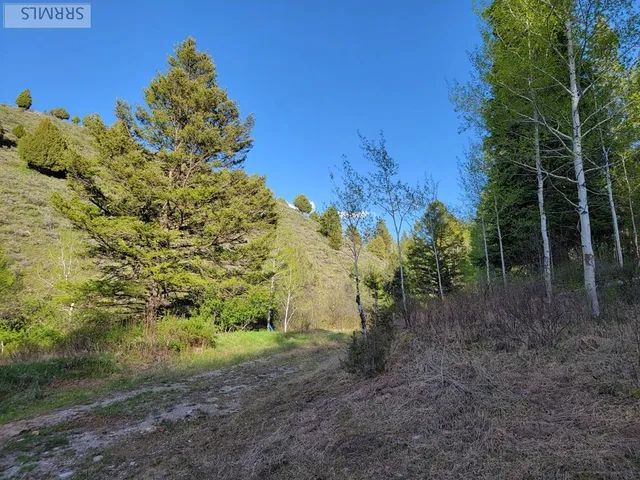 $167,000 | L39-b4 Cutthroat Run, Irwin, ID 83428