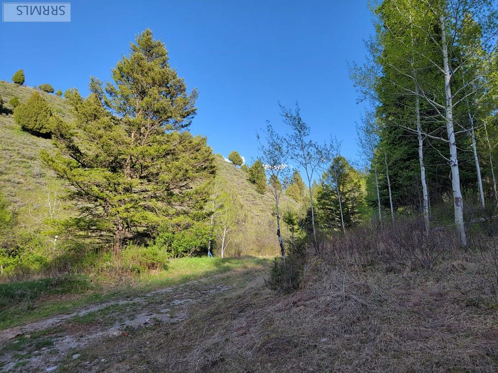 L39-b4 Cutthroat Run Irwin, ID 83428 - Photo 8 of 17