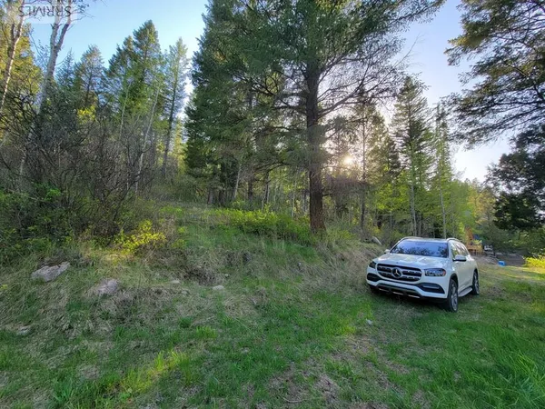 $167,000 | L39-b4 Cutthroat Run, Irwin, ID 83428