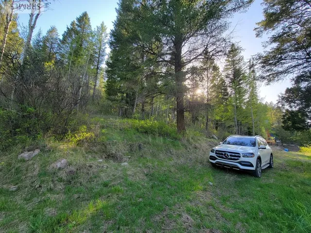 $167,000 | L39-b4 Cutthroat Run, Irwin, ID 83428