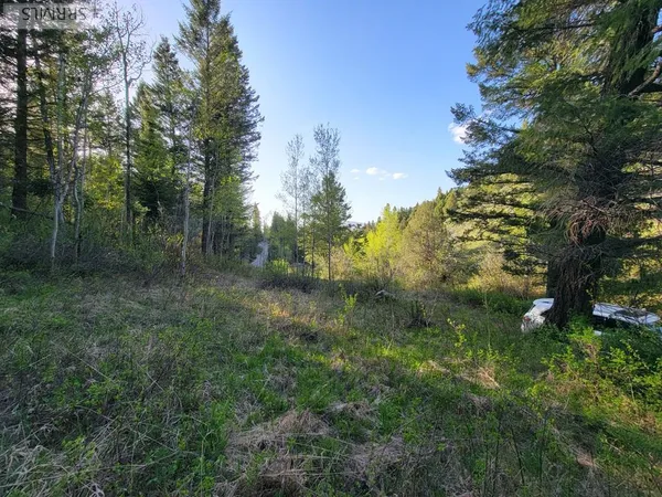 $167,000 | L39-b4 Cutthroat Run, Irwin, ID 83428