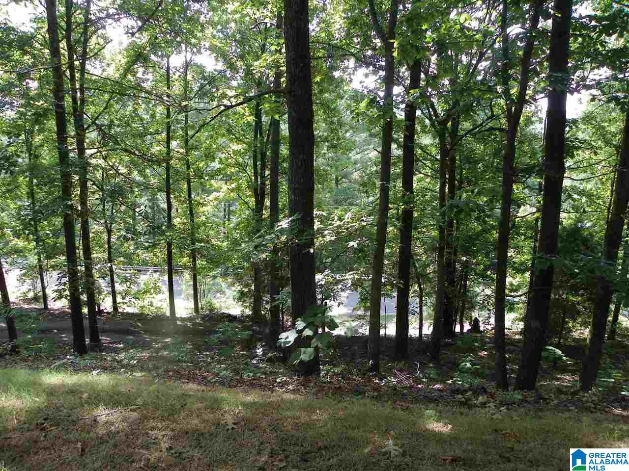 1441 County Road 33 Pelham, AL 35124 - Photo 12 of 12