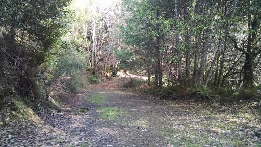 100 Moore Ranch Road Hoopa, CA 95546 - Photo 1 of 11
