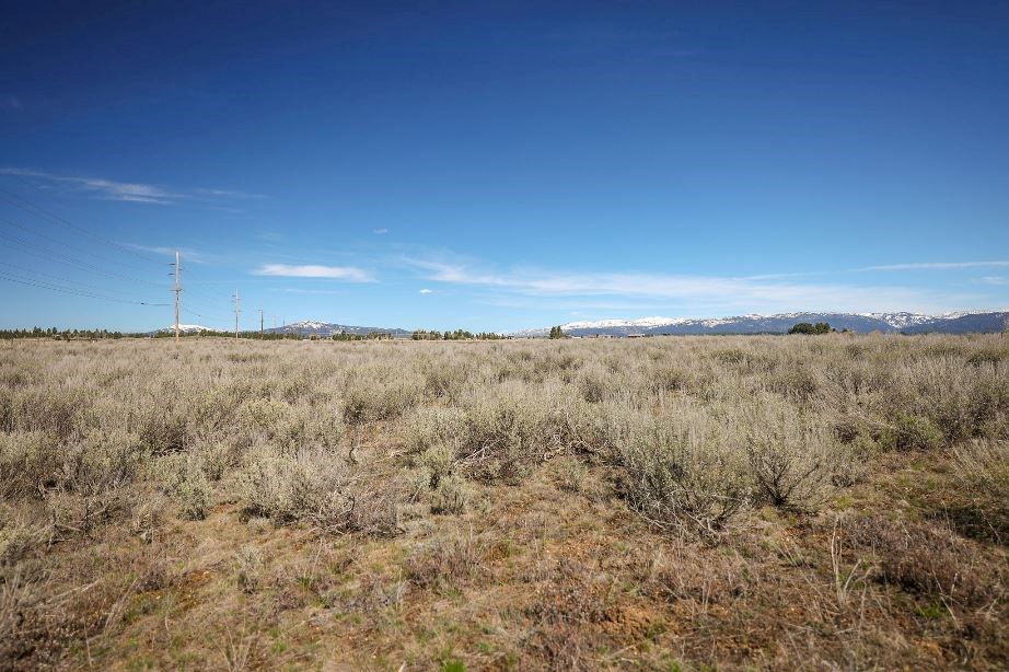 Tbd Nisula Road, Unit 38 McCall, ID 83638 - Photo 20 of 29