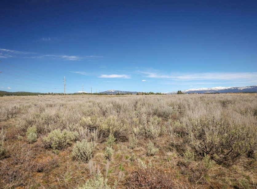 Tbd Nisula Road, Unit 38 McCall, ID 83638 - Photo 21 of 29