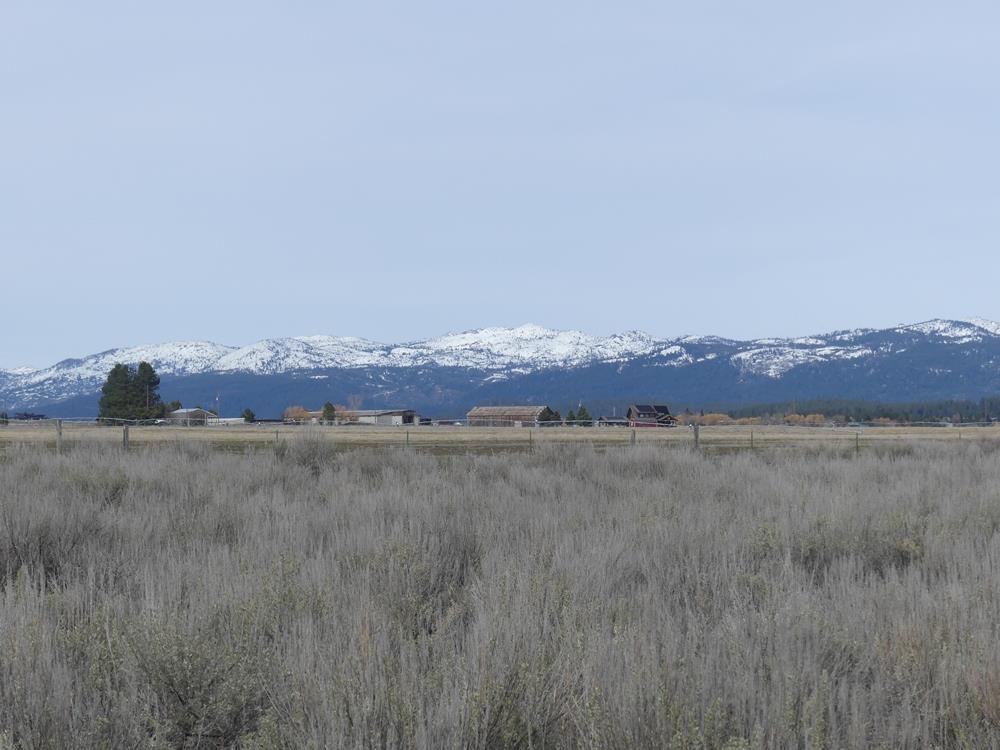 Tbd Nisula Road, Unit 38 McCall, ID 83638 - Photo 3 of 29