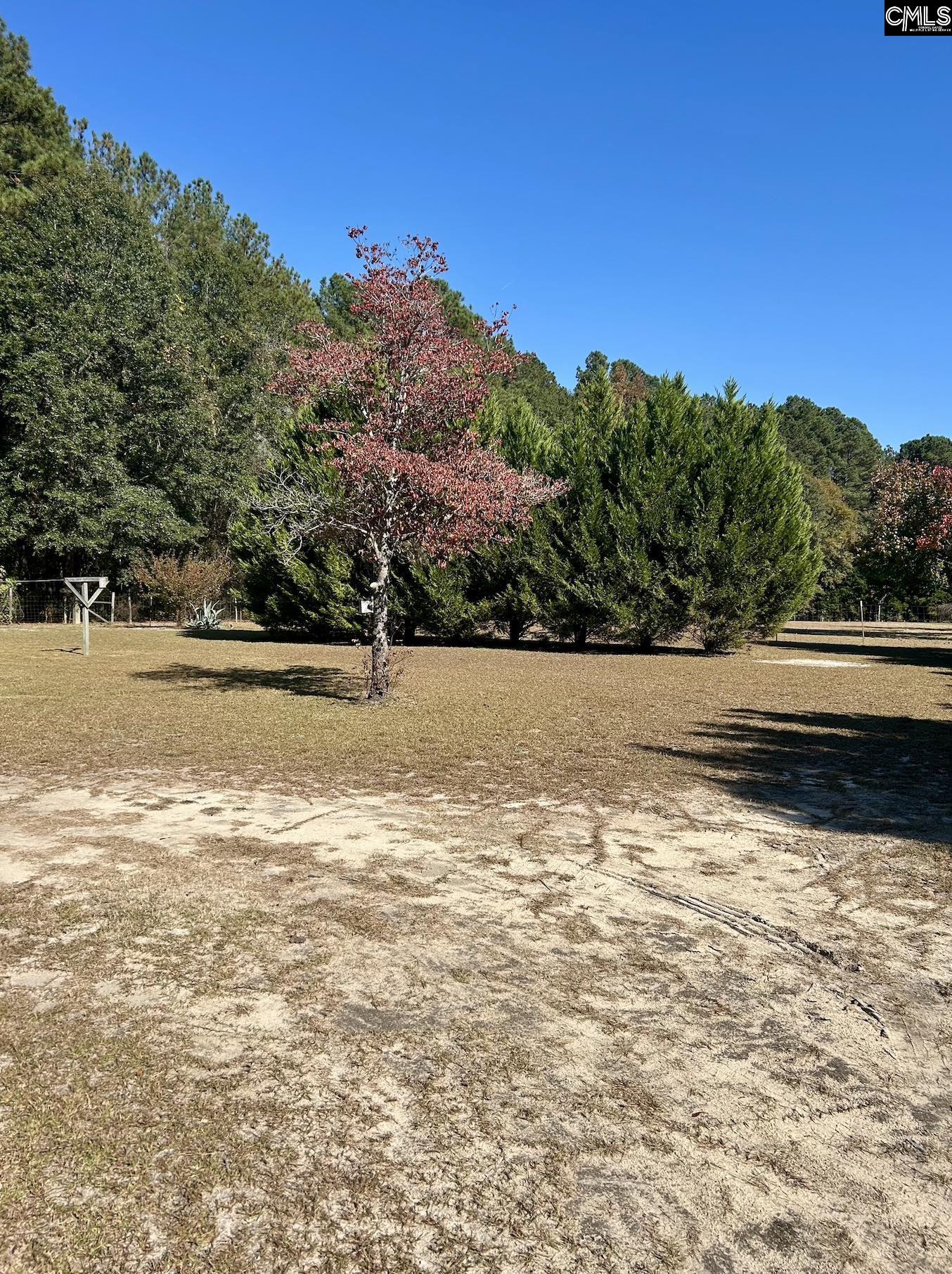 668 Briar Creek Road Branchville, SC 29432 - Photo 12 of 13