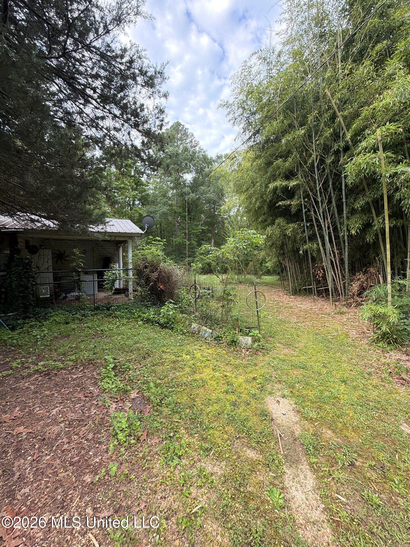 118 Canterbury Road Brandon, MS 39042 - Photo 32 of 60 4-May 19, 2026 13-05-36-cnNZ
