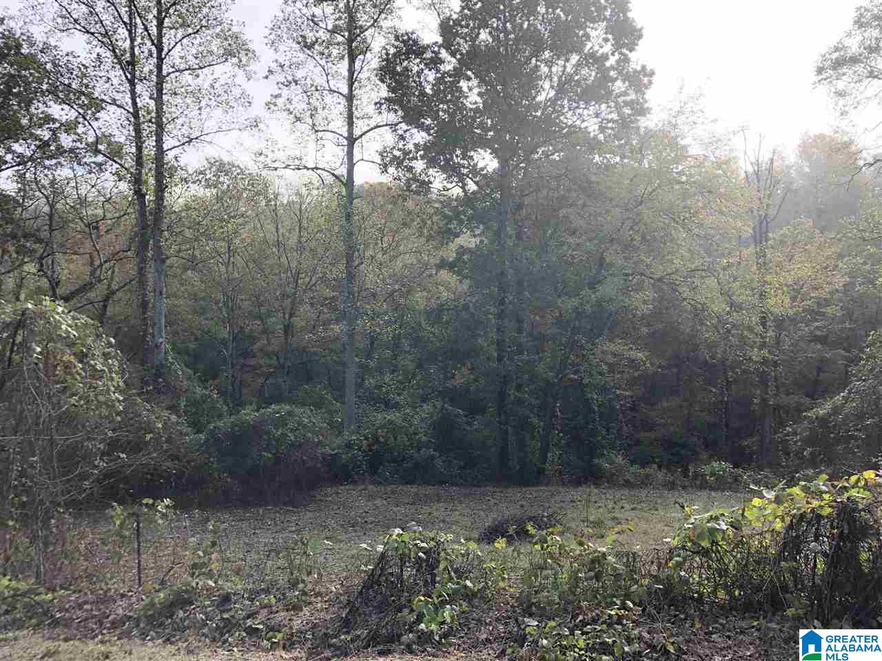 1114 Roulain Road, Unit 1114 Odenville, AL 35120 - Photo 1 of 4