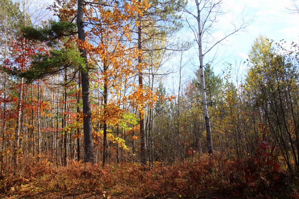 On Dark Corner Road, Unit 26 64 AC Marengo, WI 54855 - Photo 7 of 11 Gallery Image 7