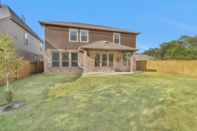 a view of a backyard with large trees and wooden fence