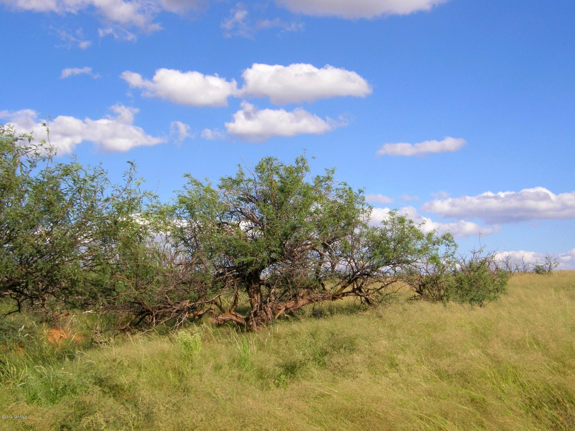 Lot 88 South Kino Road, Unit 88 St. David, AZ 85630 - Photo 7 of 18