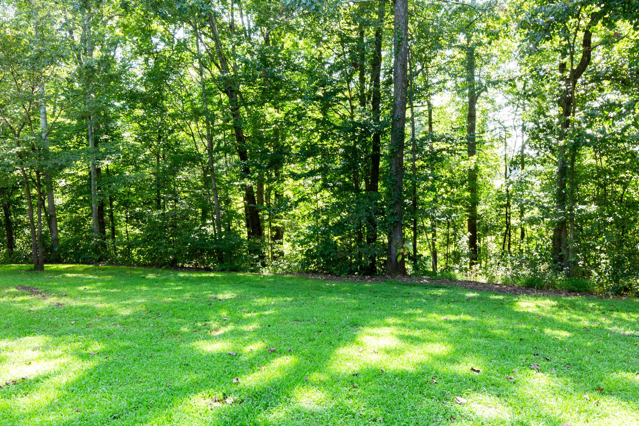 1228 Blake Road Lyles, TN 37098 - Photo 25 of 25 Gallery Image 25