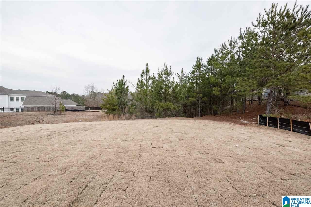 577 Rosebury Road Helena, AL 35080 - Photo 42 of 50