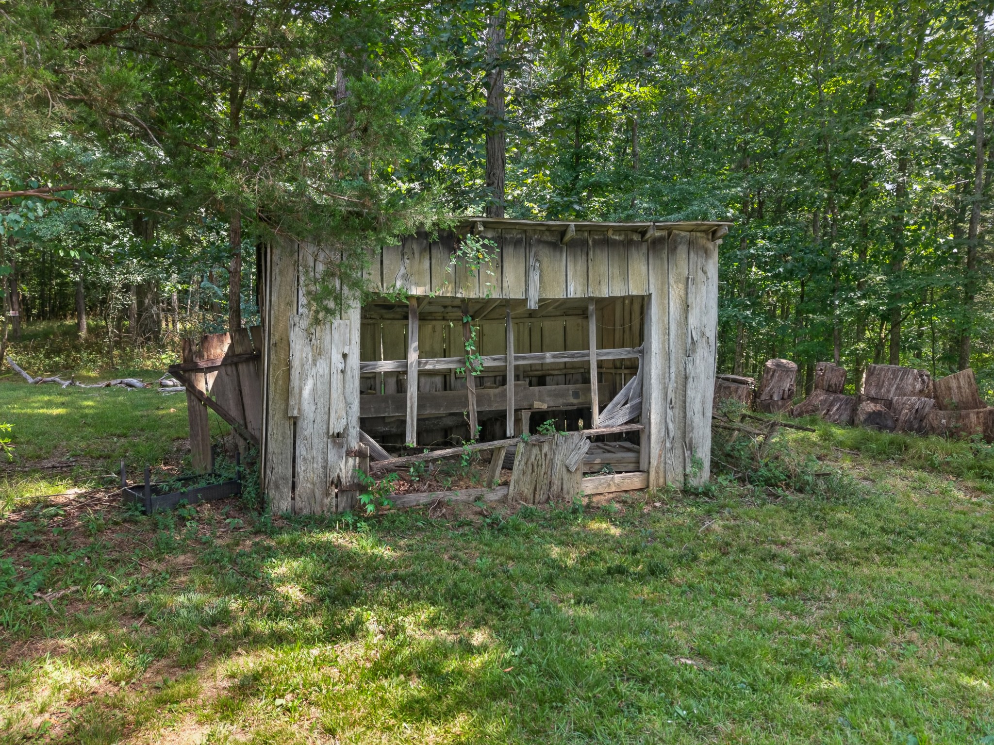 142 Eldad Road Fayetteville, TN 37334 - Photo 43 of 49 Gallery Image 43