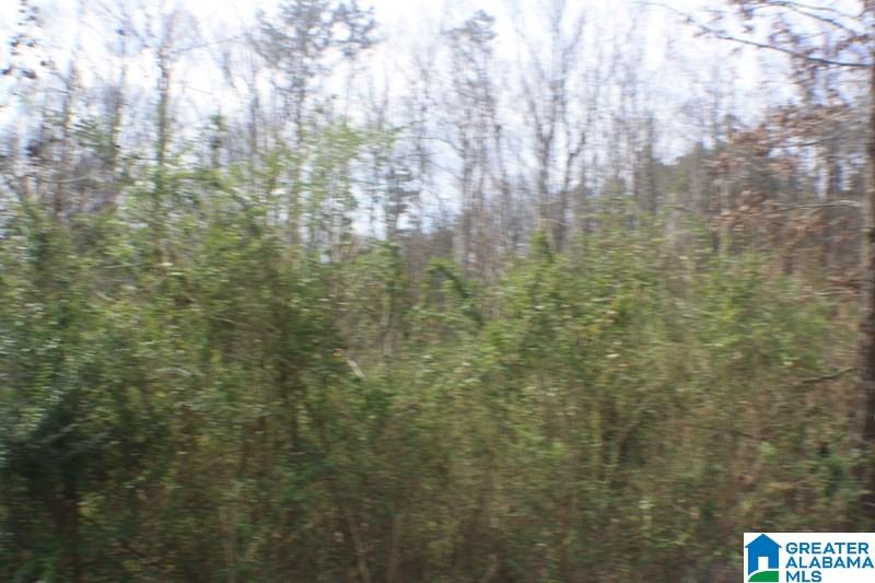 Old Choccolocco Road, Unit 97 Weaver, AL 36277 - Photo 5 of 27