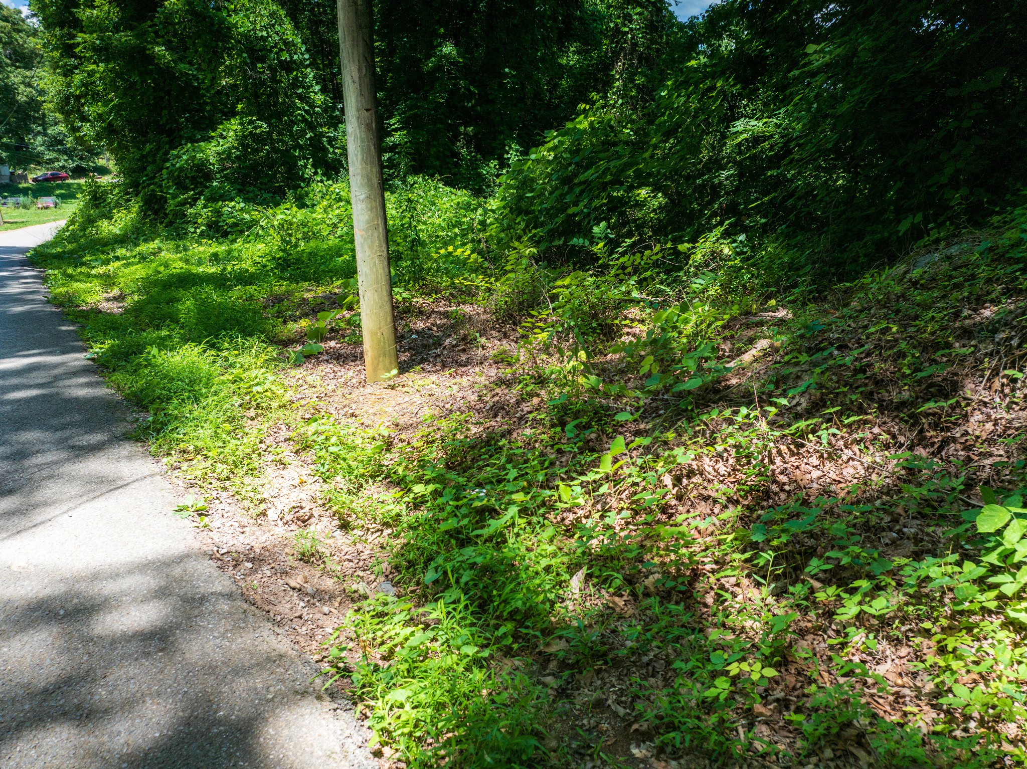 1175 McGhee Road Greenback, TN 37742 - Photo 16 of 31