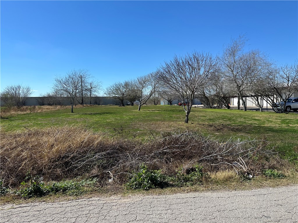 0 Bratton Corpus Christi, TX 78413 - Photo 1 of 5
