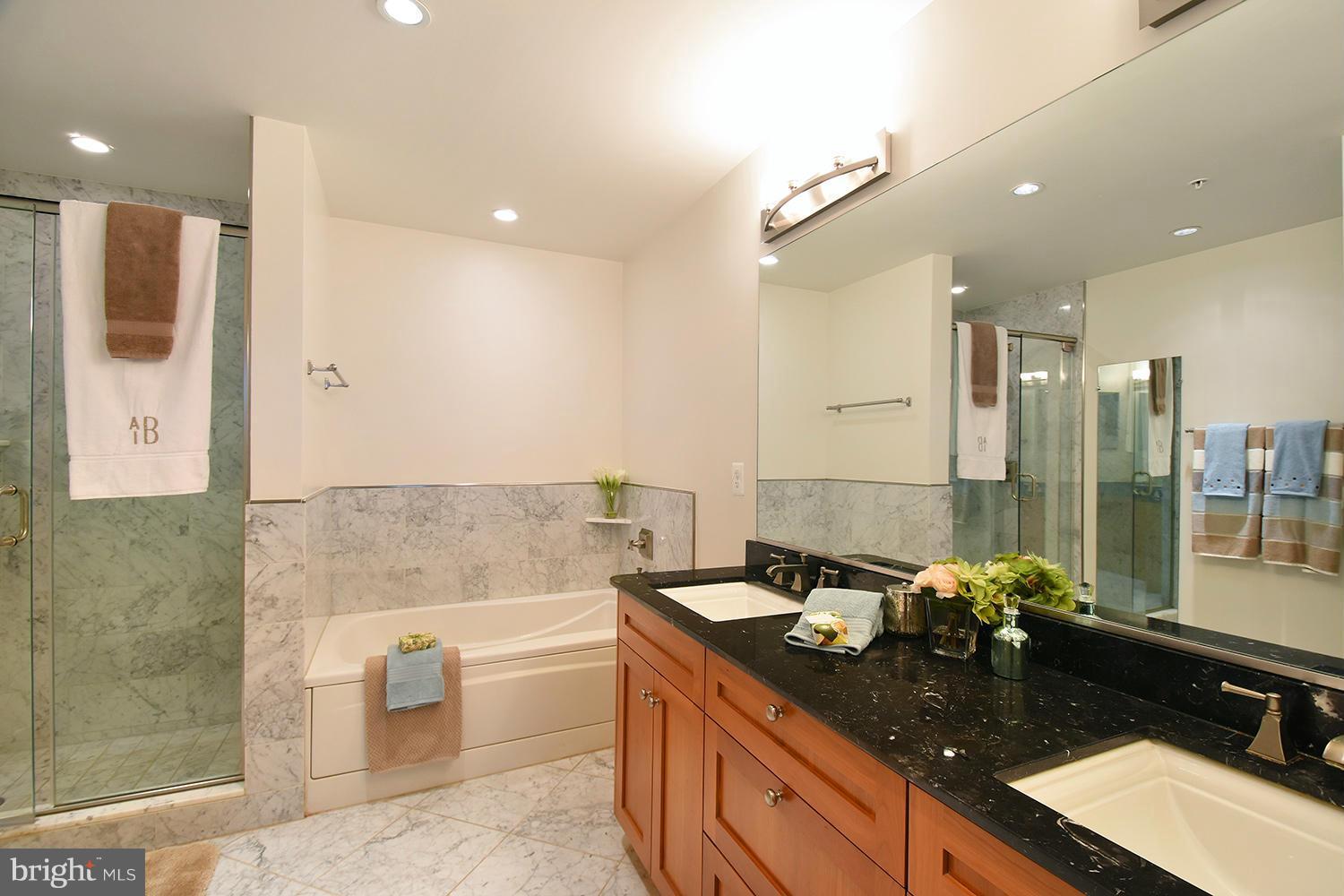 4301 Military Road Northwest, Unit 202 Washington, DC 20015 - Photo 24 of 30 Bath (Master)