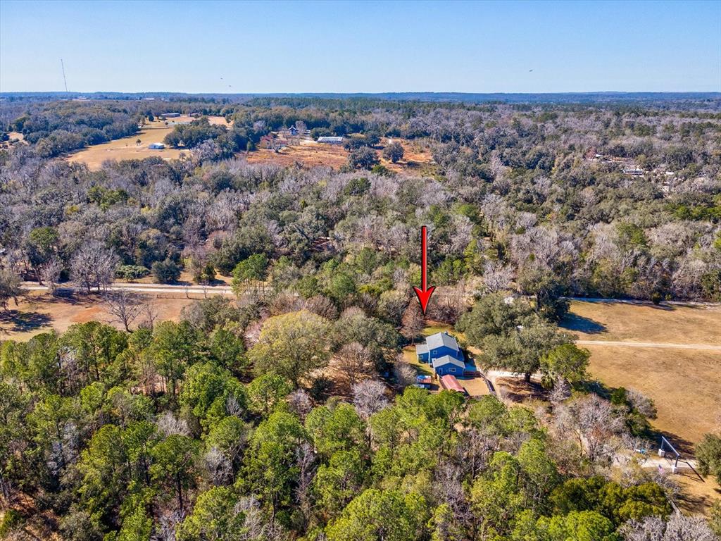 24420 Lanark Road Brooksville, FL 34601 - Photo 54 of 56