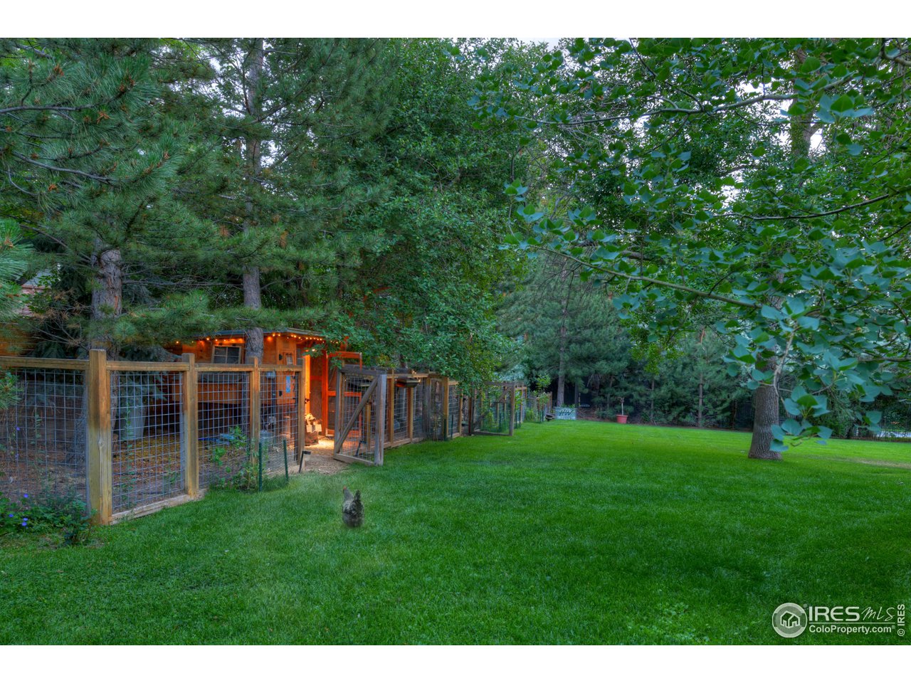 2115 Linden Avenue Boulder, CO 80304 - Photo 37 of 40 a front view of house with yard and green space