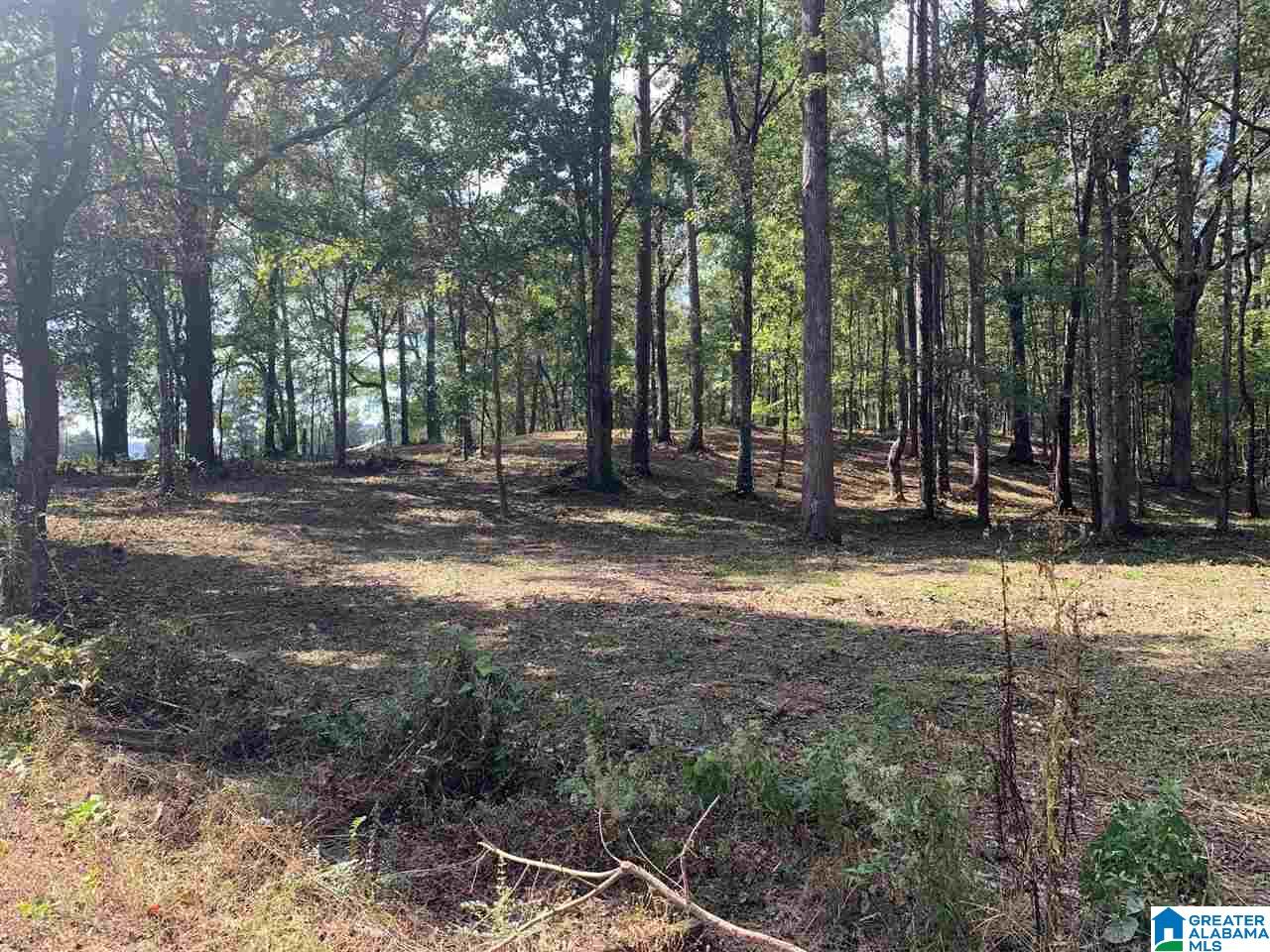 0 Embry Bend Road, Unit 1 Lincoln, AL 35096 - Photo 5 of 15