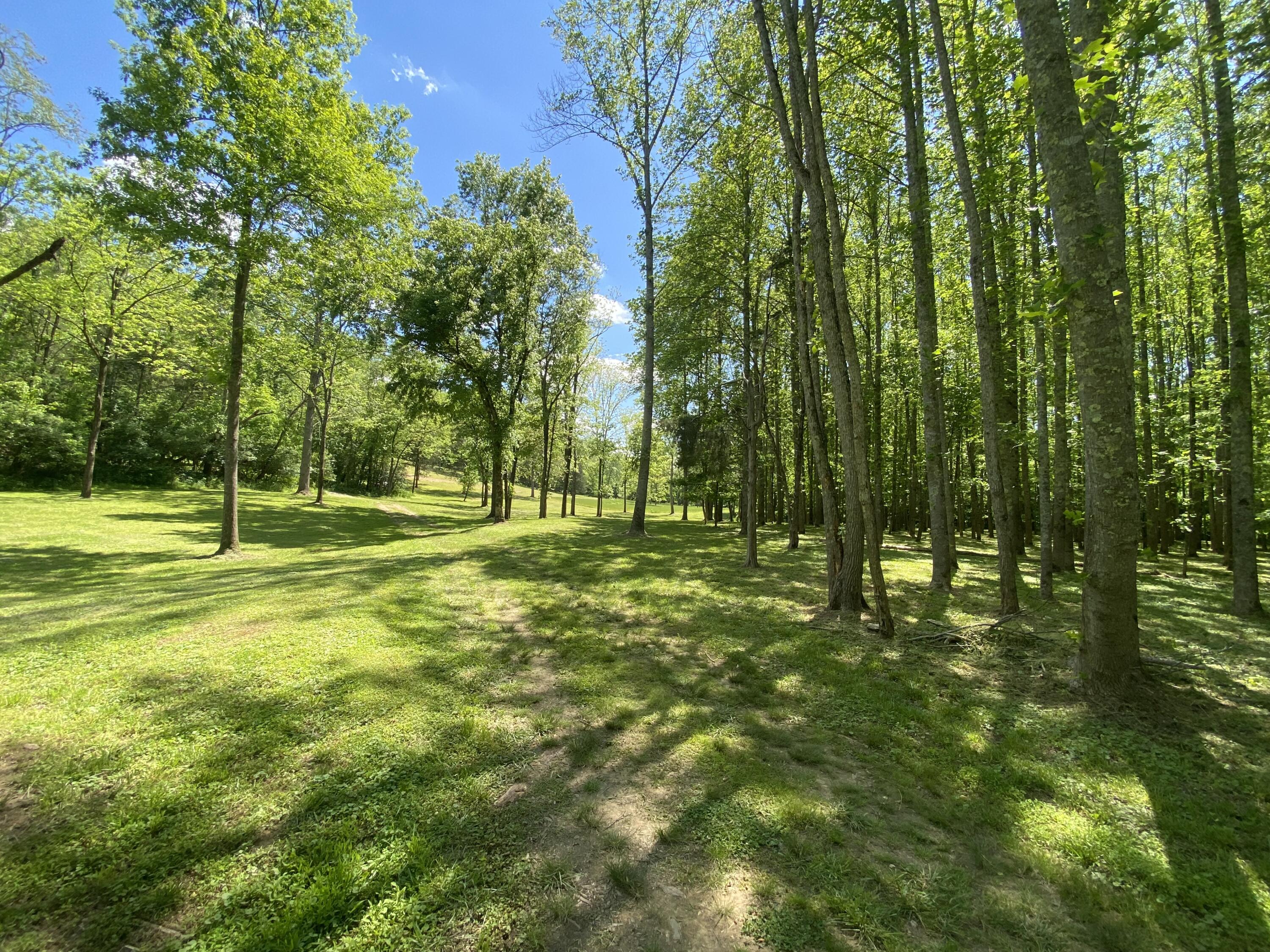 231 Fintville Road Versailles, KY 40383 - Photo 5 of 34 1-