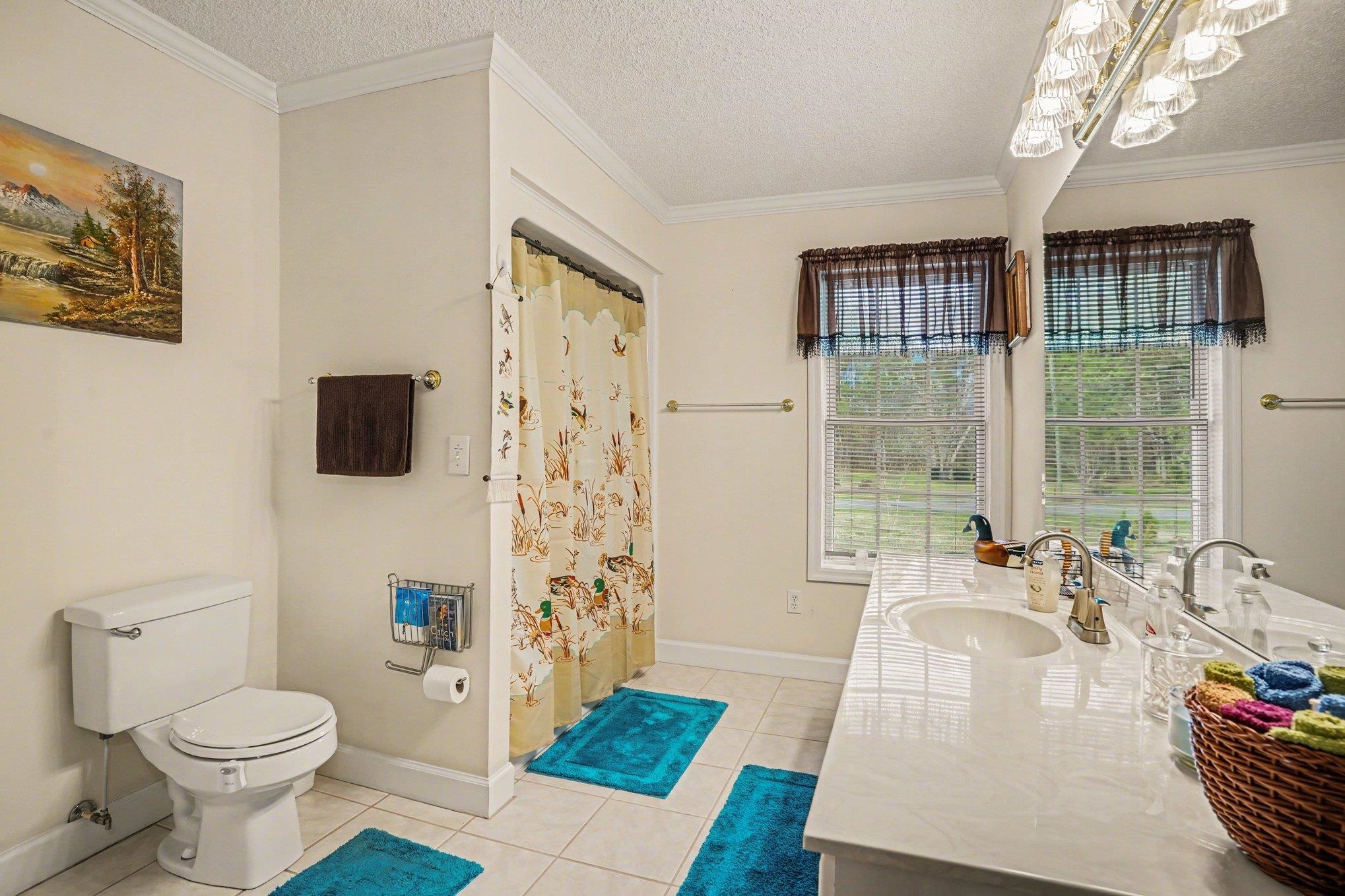 436 Tanner Road Hemingway, SC 29554 - Photo 23 of 44 Gallery Image 23